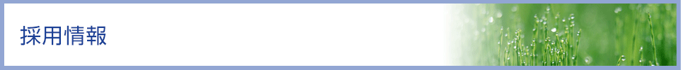 採用情報