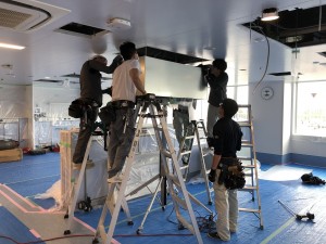 写真 2020-07-20 11 33 05